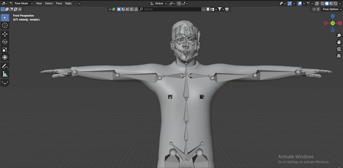 3d character rigging professionally in blender and maya