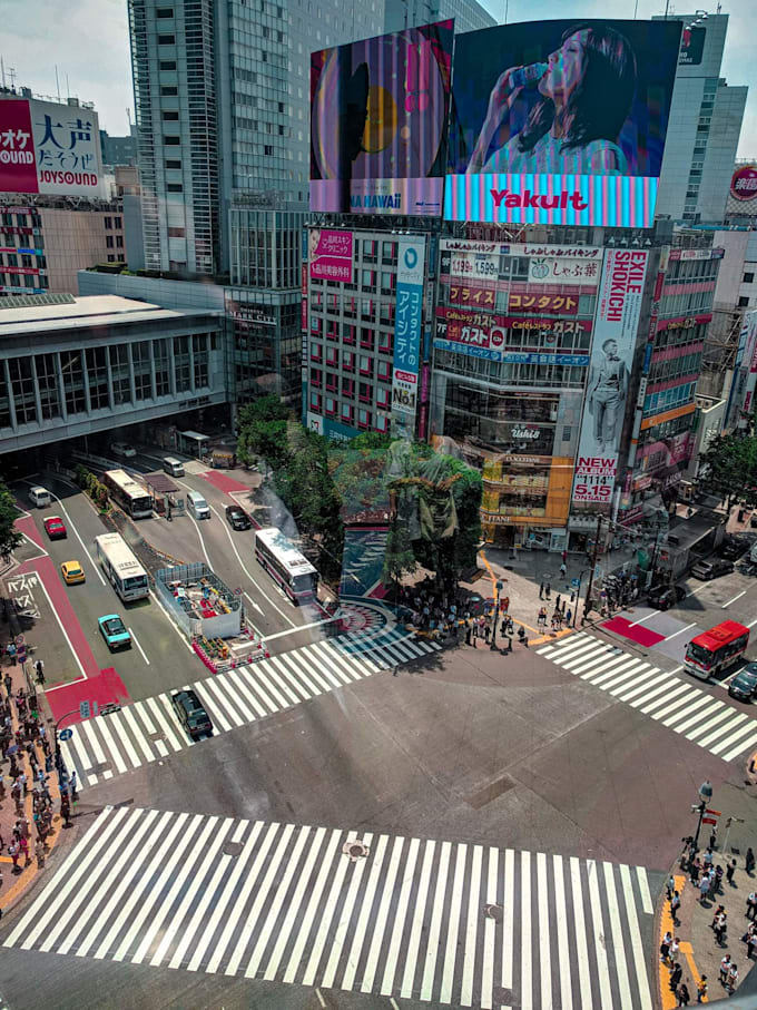 provide a personalized tokyo wide itinerary