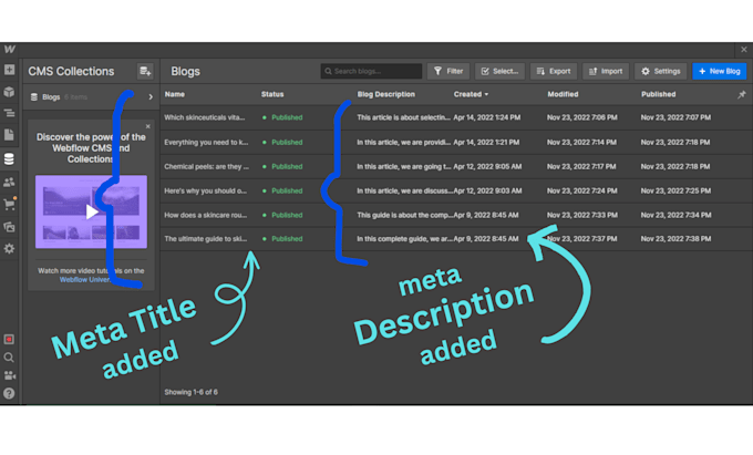 be webflow SEO expert for google top ranking