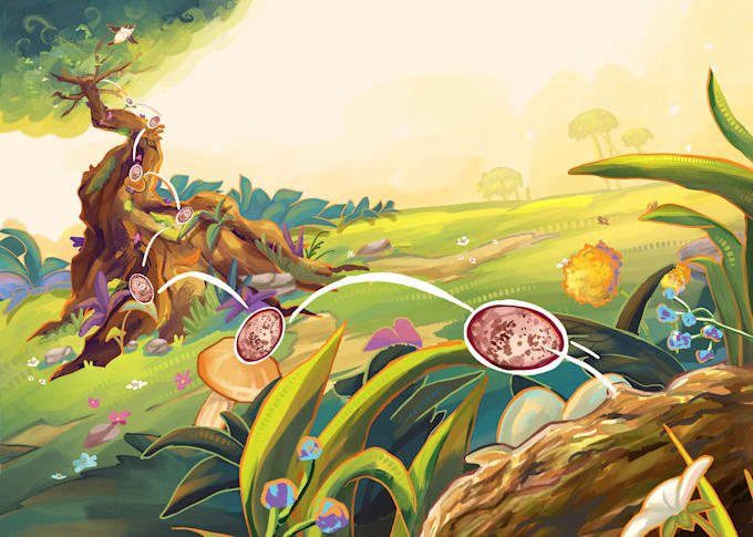 draw background for your animation or game