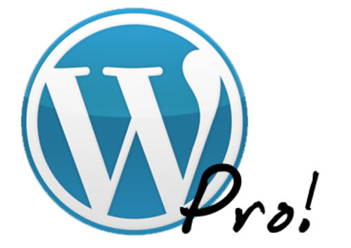 help you fix a Wordpress problem / Customise Wordpress
