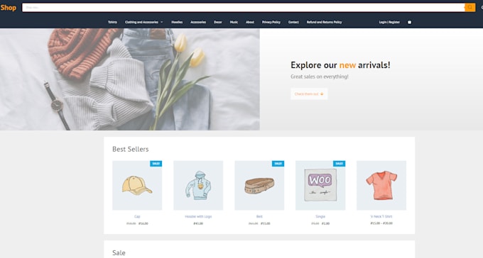 develop ur ai agents, functional API, websites and web apps