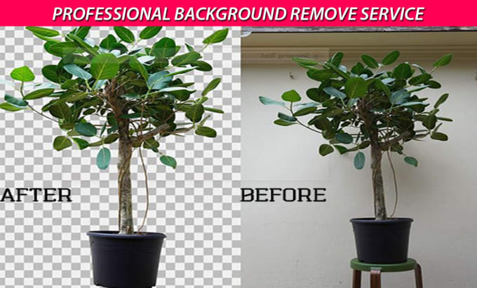 professionaly background remove or cut out using pen tool