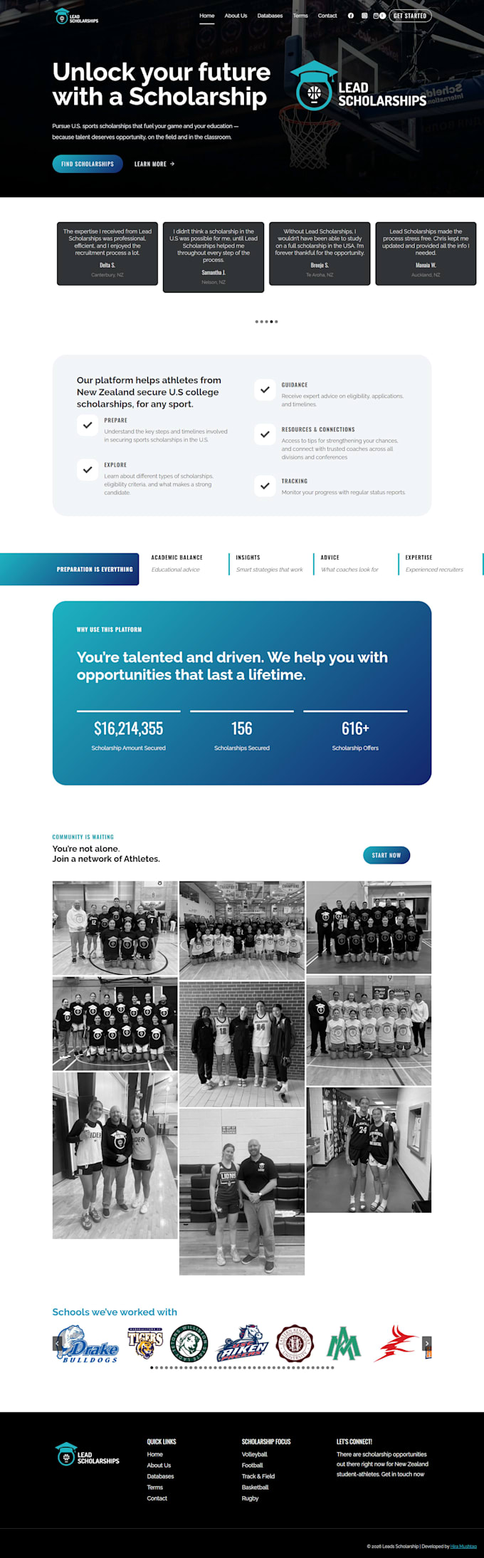 design a professional website for your business, brand, or company