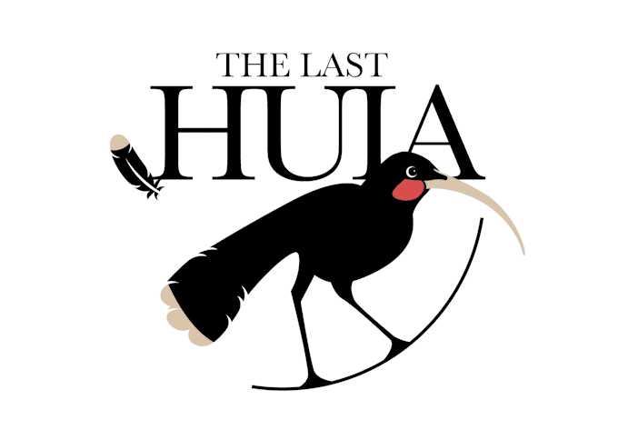 design a professional modern bird logo