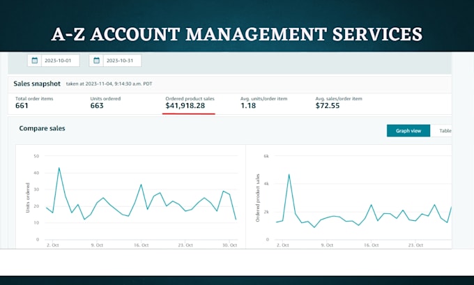 be your expert amazon consultant and amazon account VA