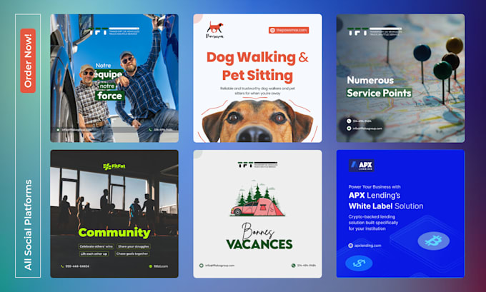 design creative carousel post and social posts for insta fb linkedin twitter