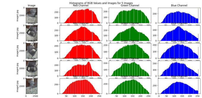 do computer vision and image processing projects