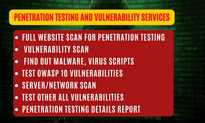 do website penetration testing or detect vulnerabilities and website security