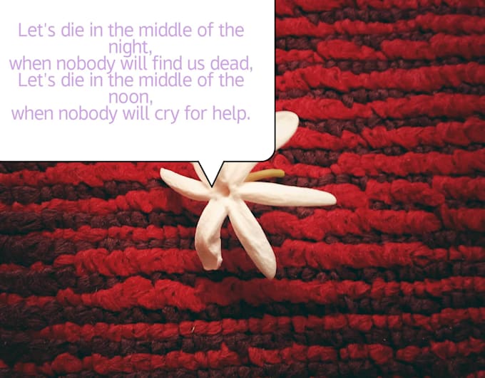 Write poems on anything you give me or write lyrics for your song by