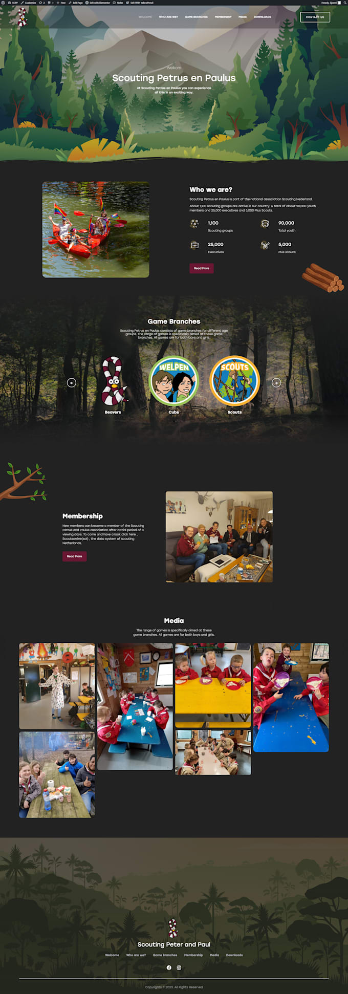 design, redesign website, build wordpress website or blog