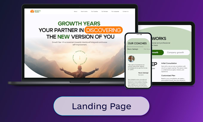 develop a professional responsive wordpress website design