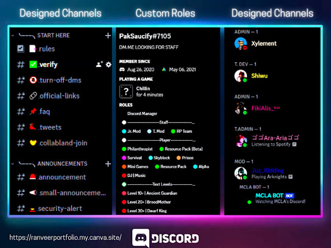 setup a professional discord server for your community