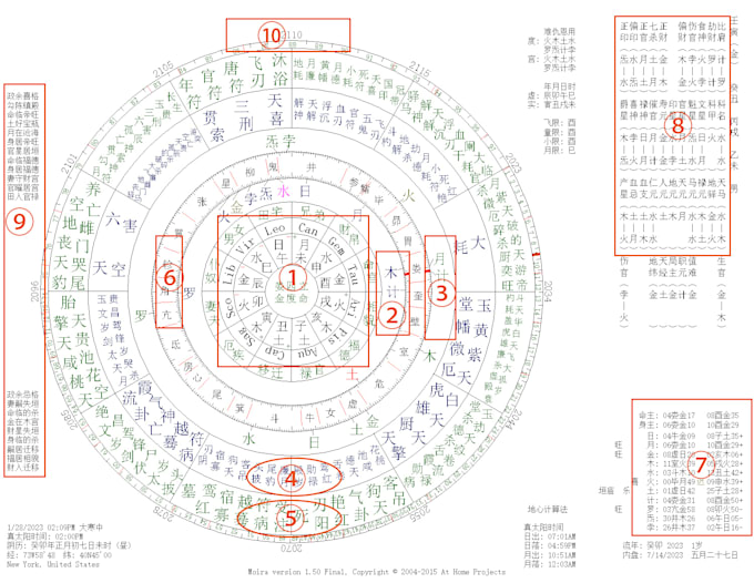 Do precise natal chart reading using chinese astrology by Fjfzzl Fiverr