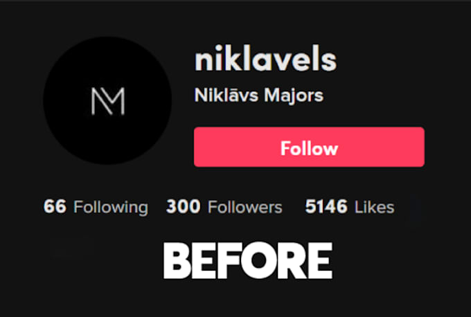 Get you tiktok follow bot by Ututeam | Fiverr