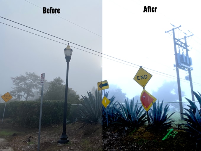 greatly enhanced your image with gimp