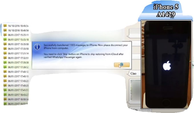 transfer whatsapp data from android to iphone and vice versa