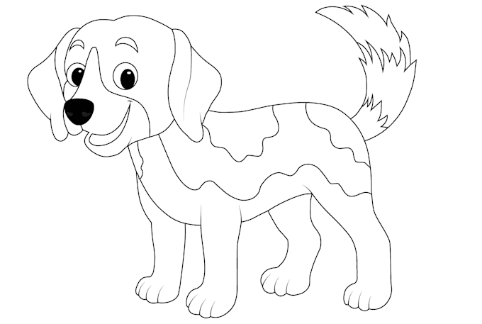 convert your any image into vector line art illustration