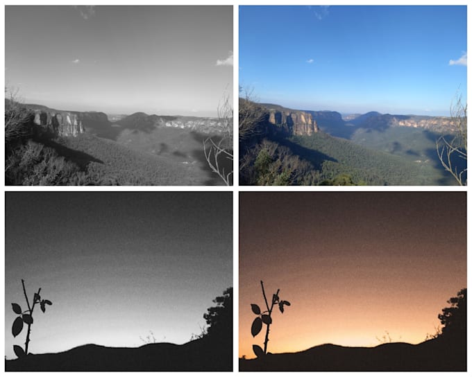 Turn any black and white photograph into colour by Elinolanx13 Fiverr