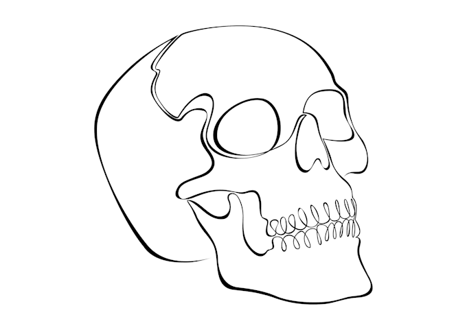 draw a continuous line art illustration of your photo