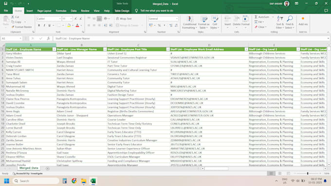 do excel data cleaning, formatting and tally expert fast and accurate