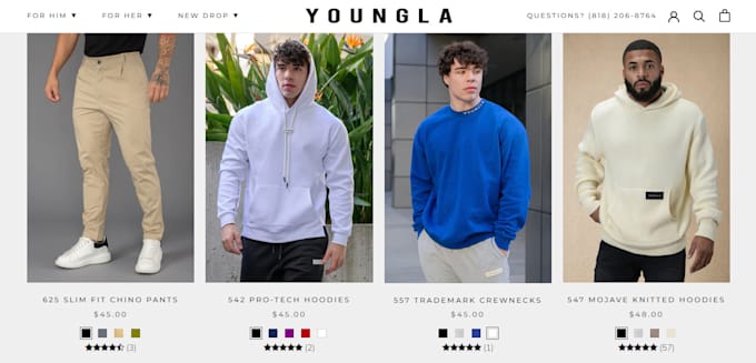 make shopify clothing store and fashion store