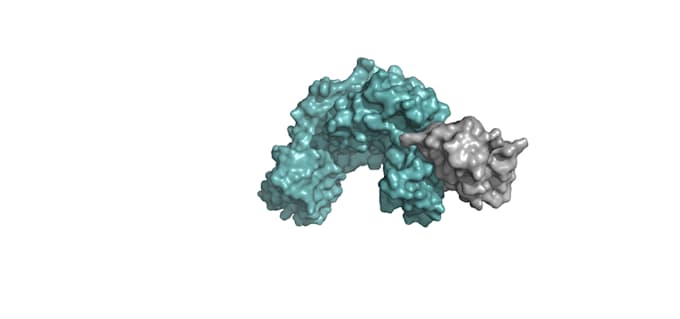 Do protein docking and molecular docking for you by The__east | Fiverr