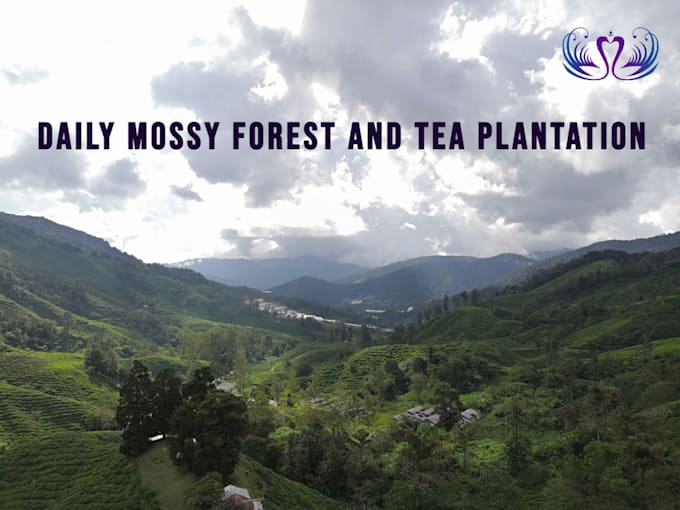 help you plan malaysia holiday