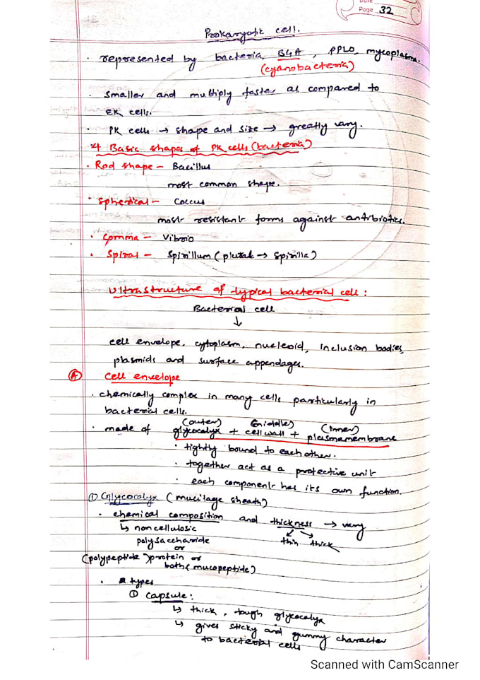 make hand written notes, assignment transcribe PDF , word or images into text