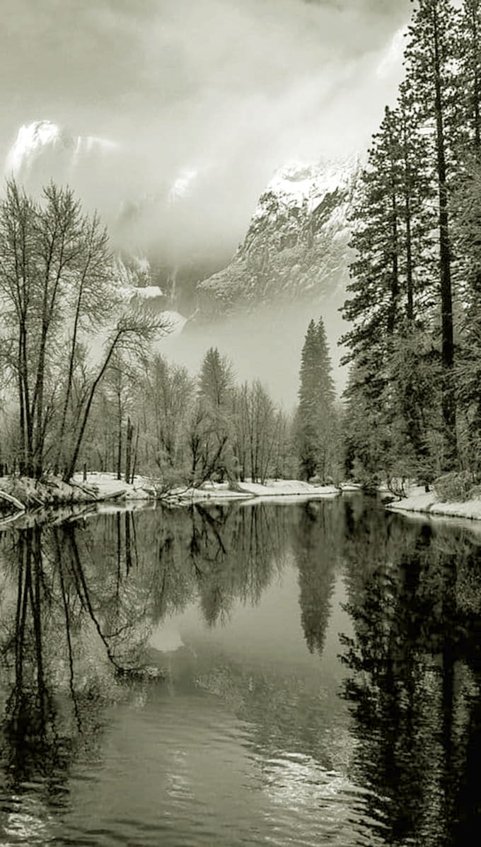 Do black and white line art or graphite pencil illustration by