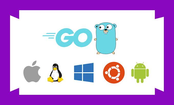 be your dedicated golang developer