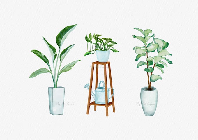 illustrate fruit, plant, or anything in digital watercolor