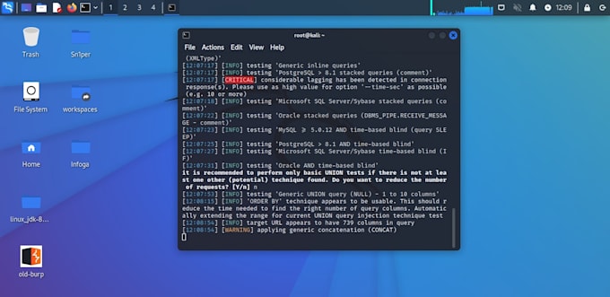 do advanced penetration testing and vulnerability assessment