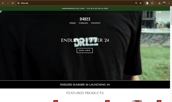 do store creation , custom shopify coding and manage store