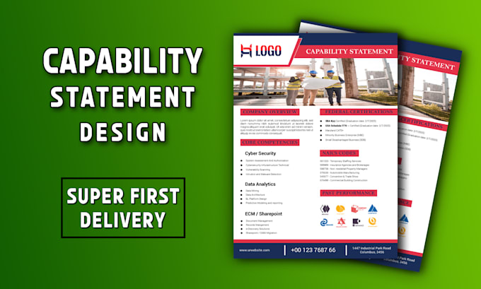 design a professional federal government capability statement within 8 hours