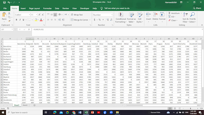 do fastest data entry in 1 day and copy paste
