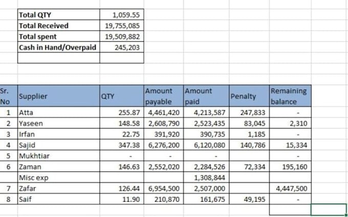 do quick data entry, excel data management, PDF to excel