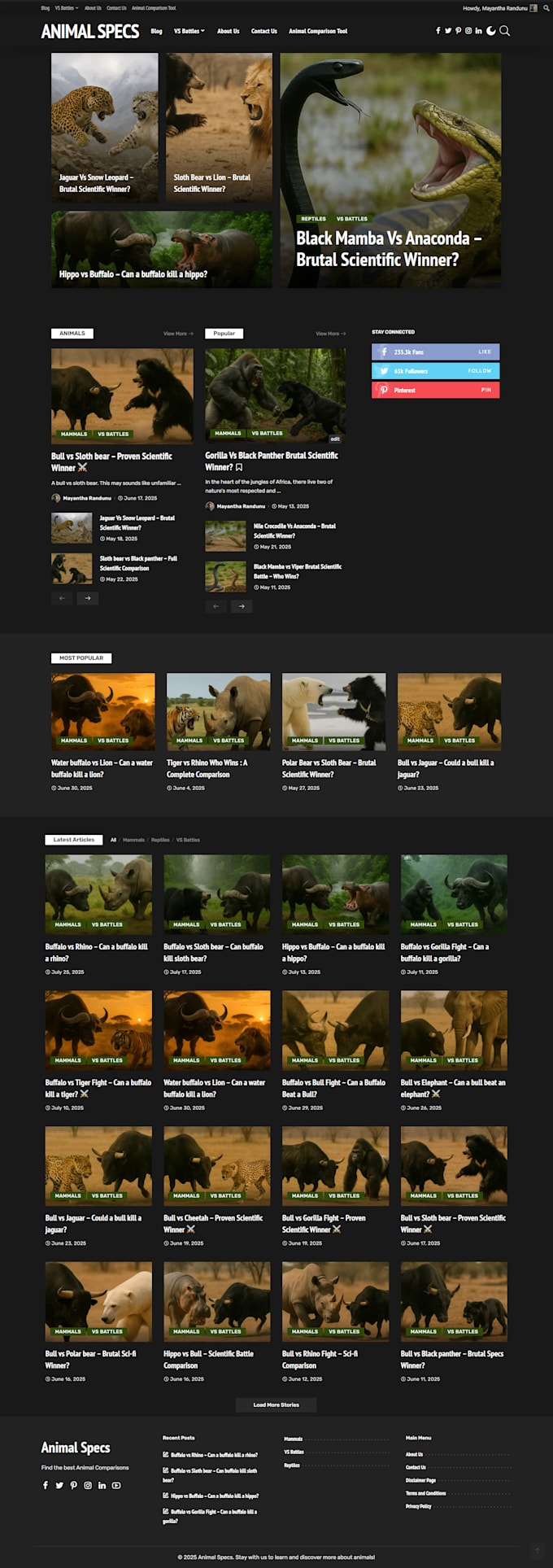 build your wordpress website from nova to black hole
