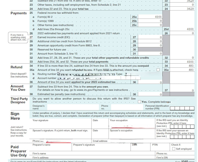 prepare USA tax efile 2025 as an enrolled agent tax expert