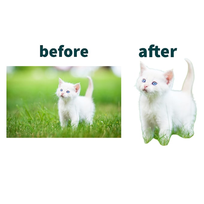 Removing Your Images Background By Reenob Fiverr Removing Your Images Background By Reenob Fiverr