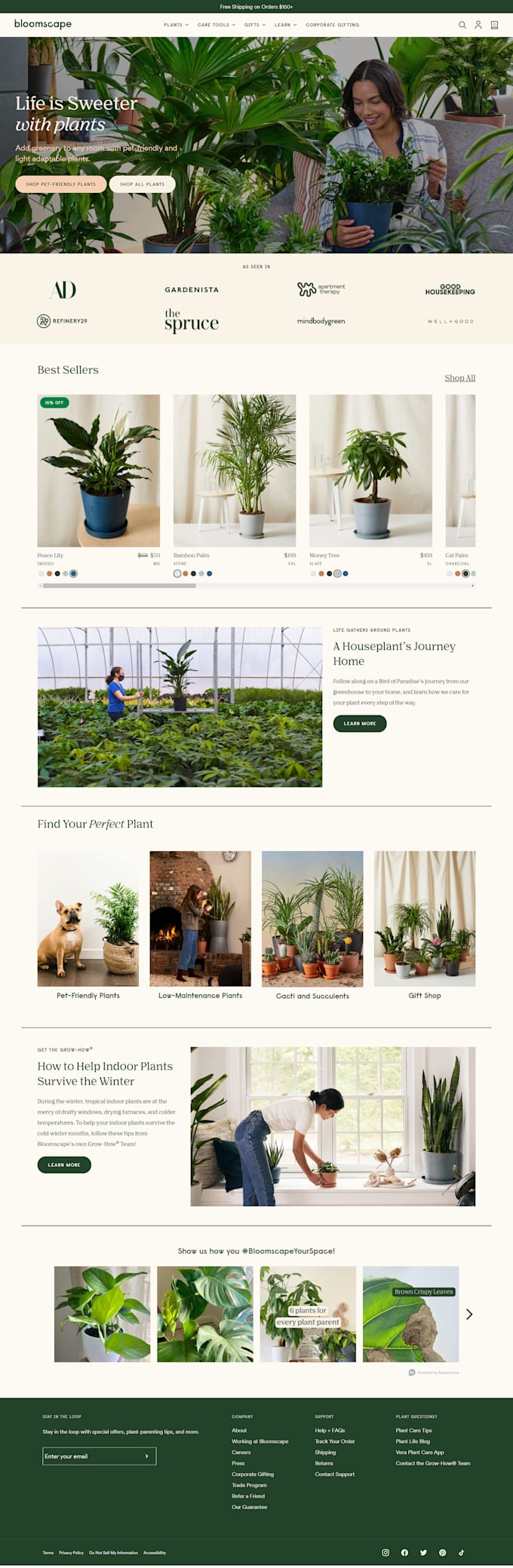 design a custom divi ecommerce website