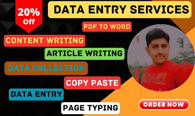 do data entry, seo article writing, website content or blog writing