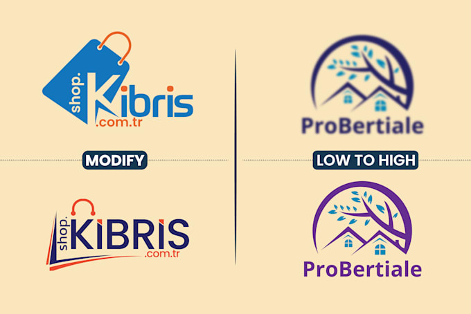 modify, fix, resize, refresh, redraw, edit vector logo update, redesign rebrand