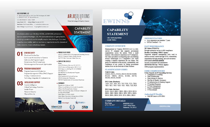 create a professional business capability statement
