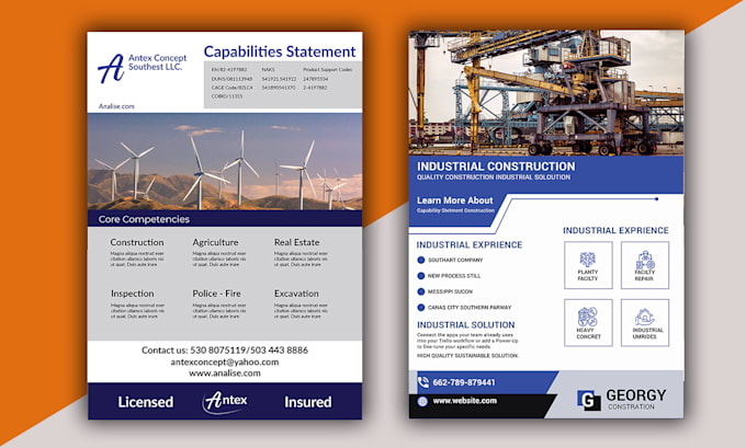 Design an amazing business capability statement, government contractor ...