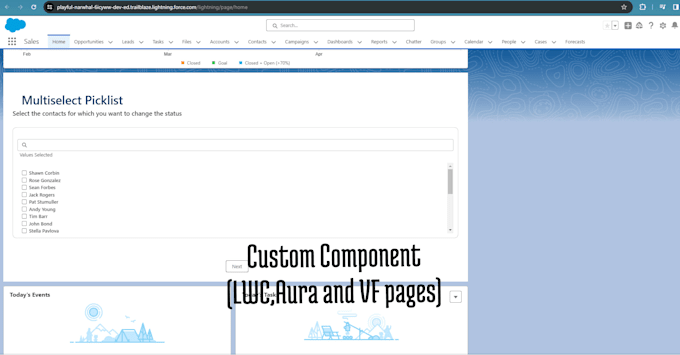 setup your salesforce CRM
