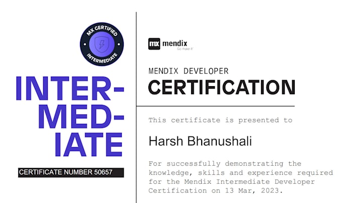 create an application and website using a low code platform called  mendix
