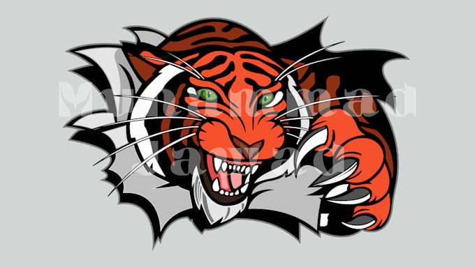 do vector tracing, raster to vector service, illustration