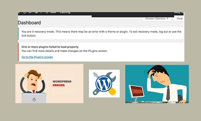 fix wordpress issues, wordpress bug fix, fix wordpress errors