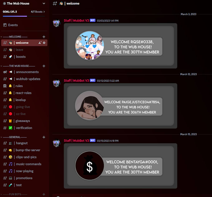 Set up and customize your discord server by Wubbitywubwub | Fiverr